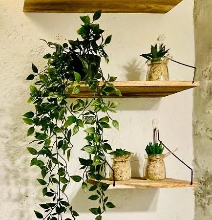 La Casa Nei Vicoli: In Centro A Due Passi Dal