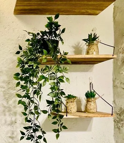 La Casa Nei Vicoli: In Centro A Due Passi Dal